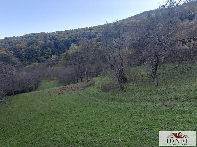 Vanzare casa cu 17399 mp teren Vintu de Jos - Valea Vintului