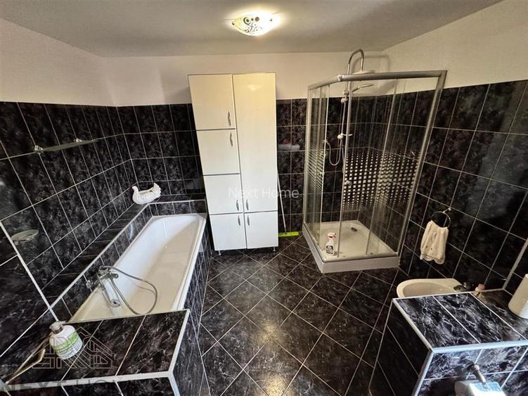 CASA DE VANZARE PANCIU - 11