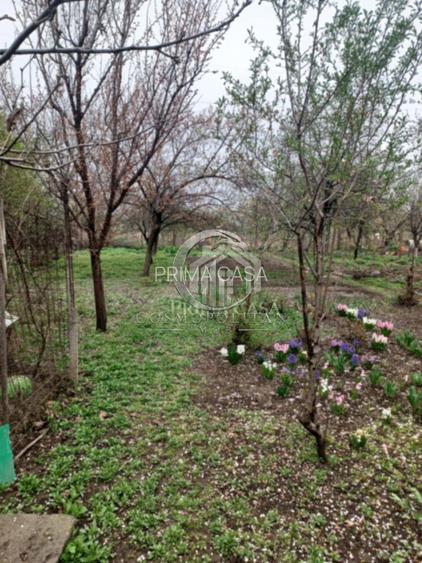 Casa zona Dorobanti teren 500mp toate utilitatile 58.000 euro - 10