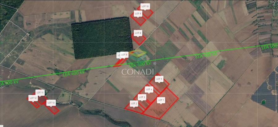 Teren Intravilan - Giurgiu || Comuna Bulbucata - 15,4 Ha