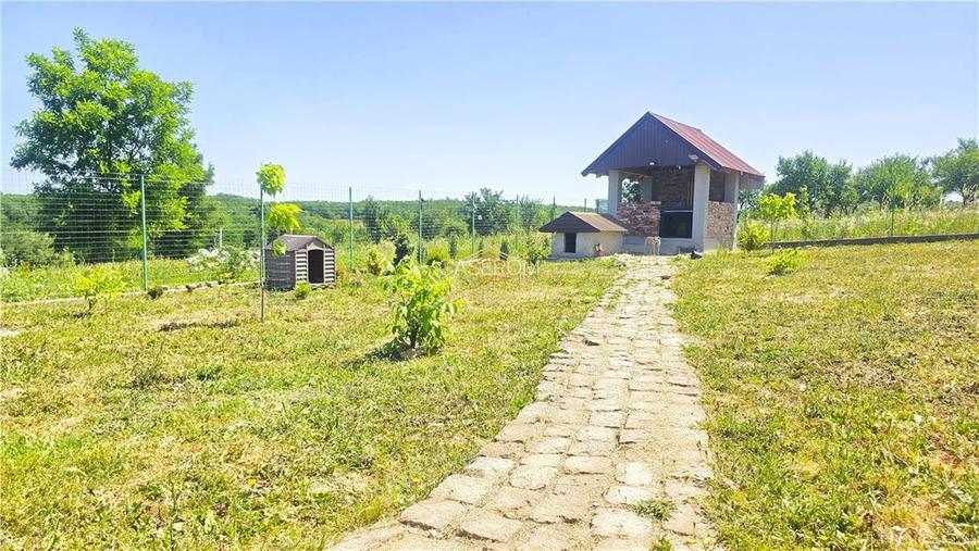 VIDEO | Loc pentru casa, cabana sau cazare turistica in Ardud | Vedere de vis sp - 13