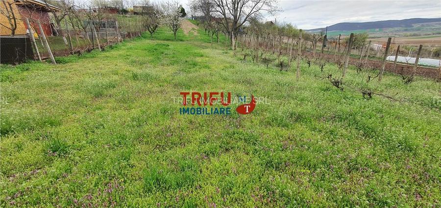 Teren de vanzare zona Micesti 1436mp - 4