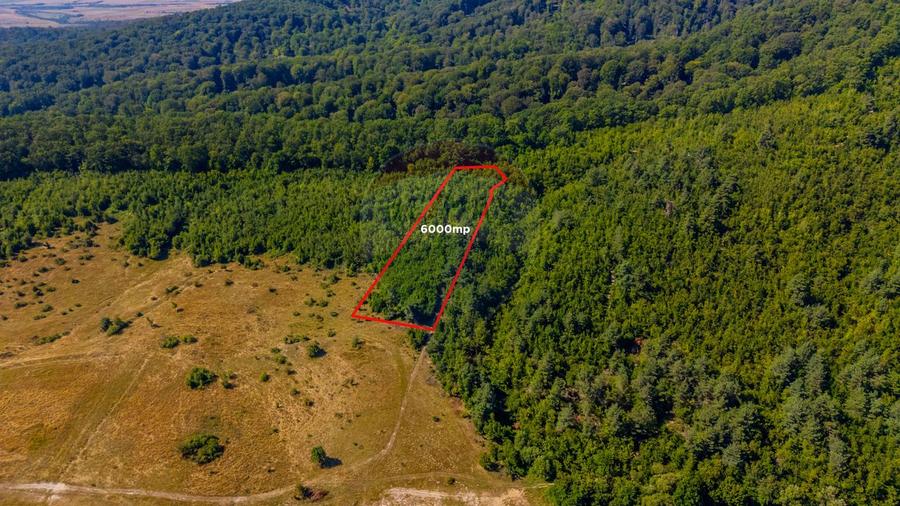Teren 6,000mp Crizbav / Strada principala