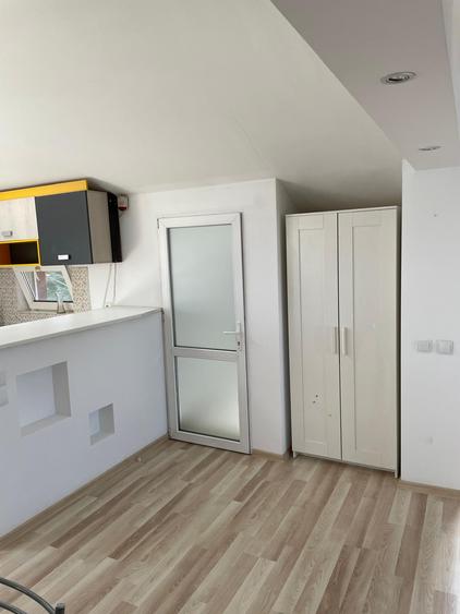 Apartament in mansarda - Damaroaia