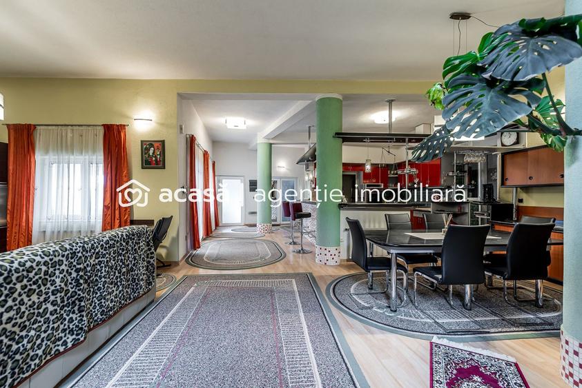Spațiu comercial, hala, si un penthouse în centrul Aradului Nou