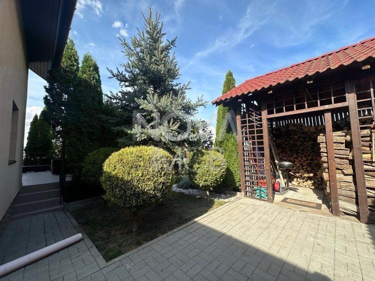 Casa individuala de vanzare - Sura Mare - 3