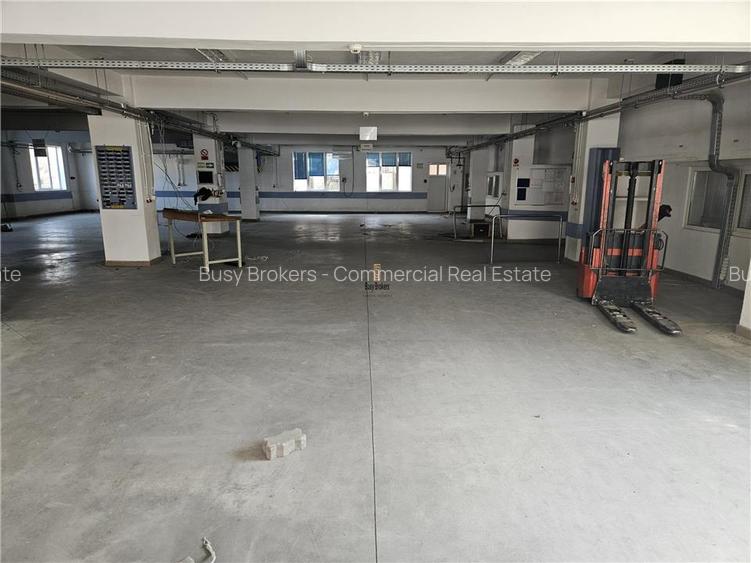 Exclusivitate - Proprietate Industriala De Vanzare - Productie - Depozitare - 2