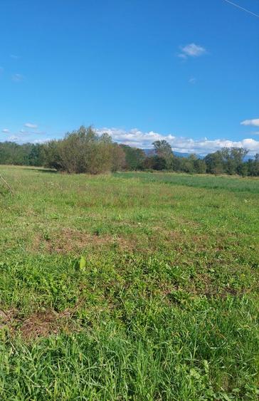 TEREN INTRAVILAN\699 mp, 45€ mp\ CARANSEBEȘ\ ZONA TEIUȘ