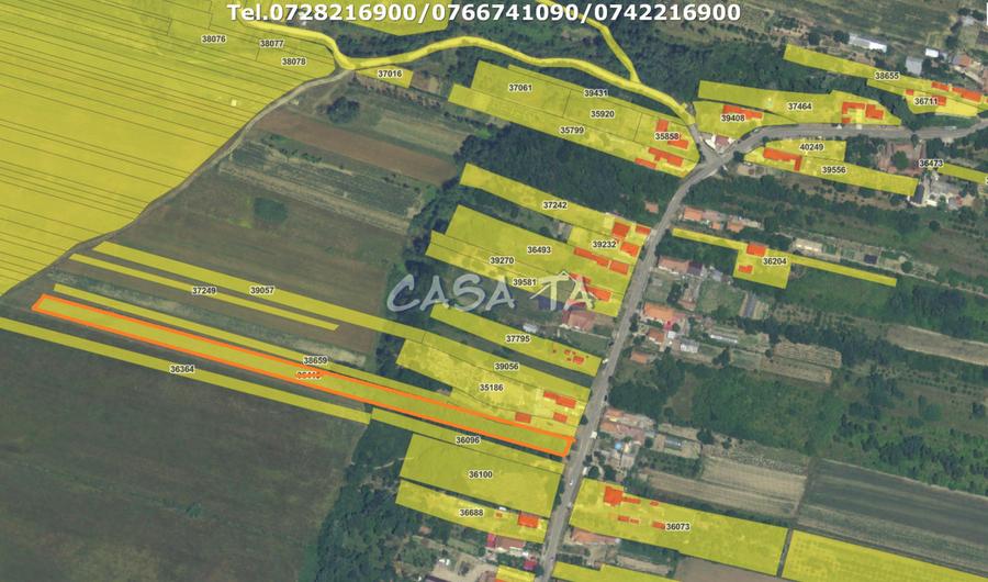 Teren Intravilan (5000 mp),situat in Curtisoara (Gorj)