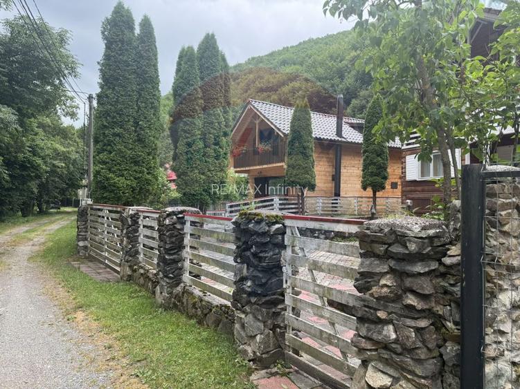 Cabana autentica de munte Frasinet - Baisoara 600 mp teren - 28