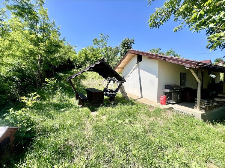 Casă individuala 2 camere in Perieni- Probota cu iaz propriu - 4