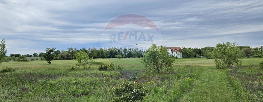 Teren de vanzare 9.7ha | Prahova, Gorgota | 450m de la DN1 - 5