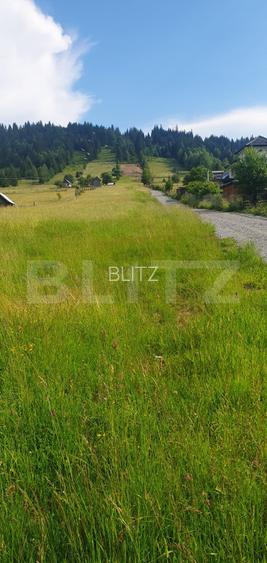 Teren 9.755 mp,  intravilan, parcelabil, zona Vatra Dornei - 4
