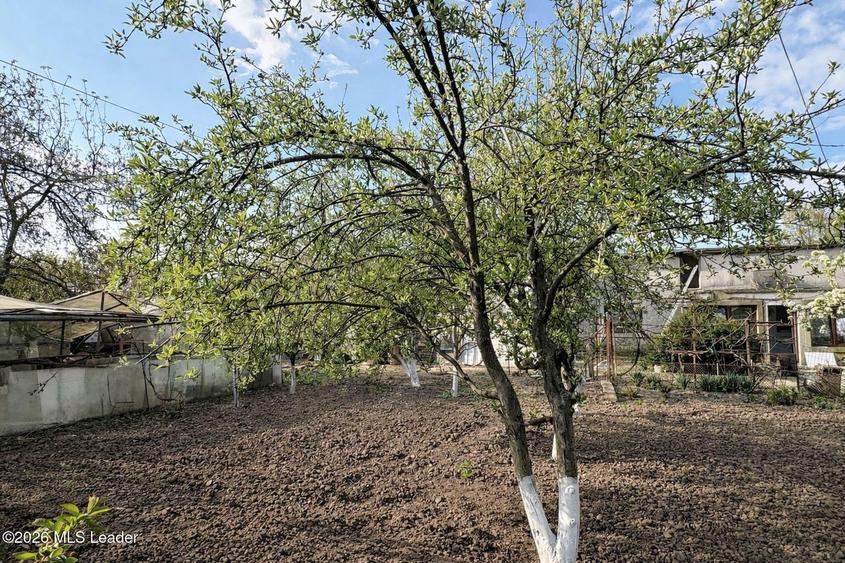 Chitila - Leroy Merlin, teren 423 mp deschidere 2 strazi
