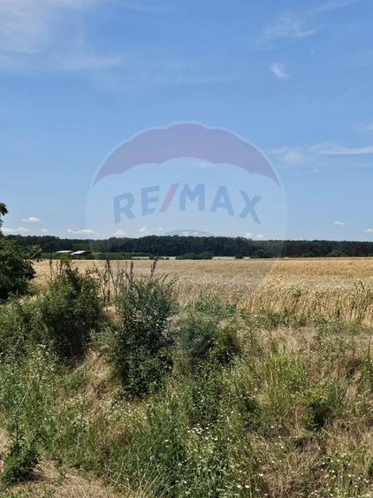 Vanzare Teren Intravilan Buftea, 750mp, str. Ulmului, Pista Biciclete