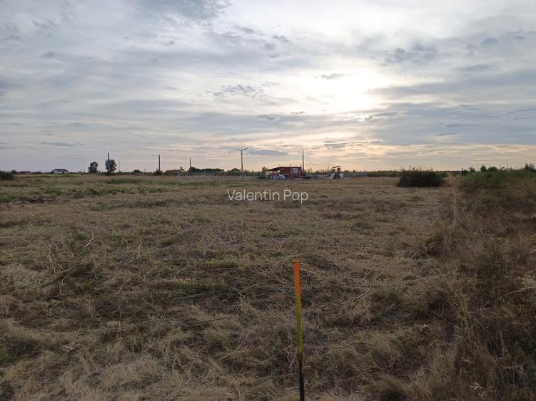 Teren 889 mp pentru casă/duplex, Moșnița Veche, 250m de centura, pers.fizica - 2
