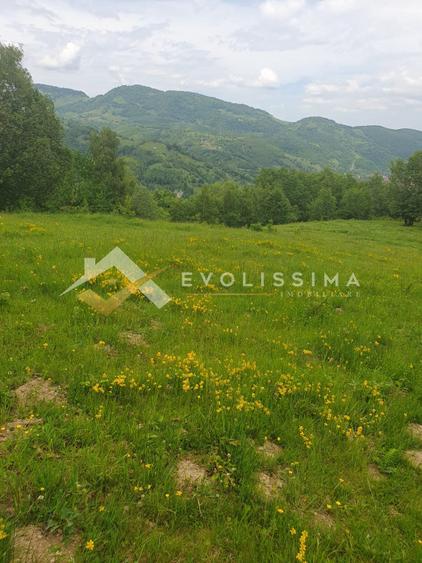Investitie Teren intravilan 11.396 mp Moieciu de Jos
