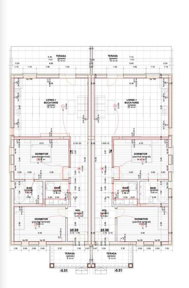 Duplex parter _Remetea Mare