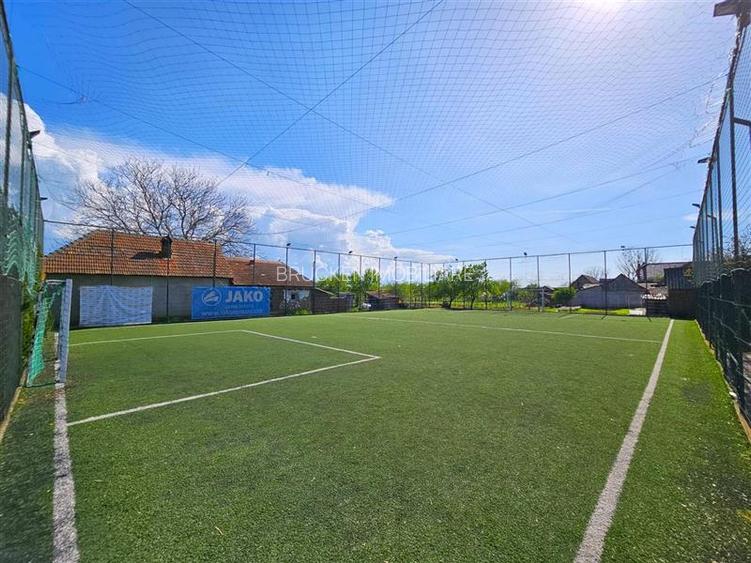 PROPRIETATE CU AFACERE FUNCTIONALA DE VANZARE - PETREU, LANGA MARGHITA - 11