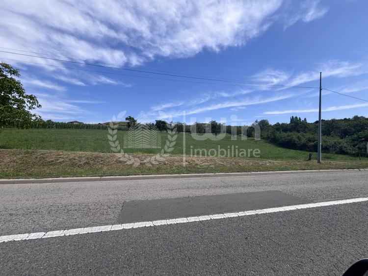 Teren intravilan 3 parcele pentru case | Front 15m/parcela | Borhanci