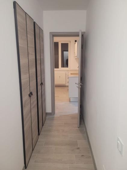 Apartament 2 camere de vanzare Drumul Taberei - Raul Doamnei