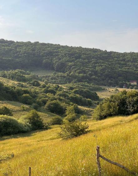 Teren 4000mp, Valea Sanaslaului