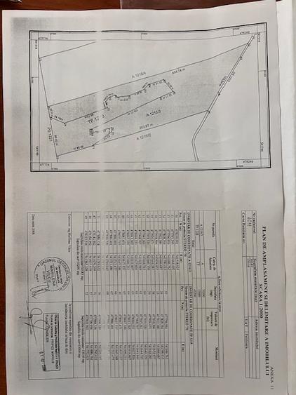 VAND TEREN ARABIL 3 HA SI PASUNE 1,3 HA IN FELDIOARA