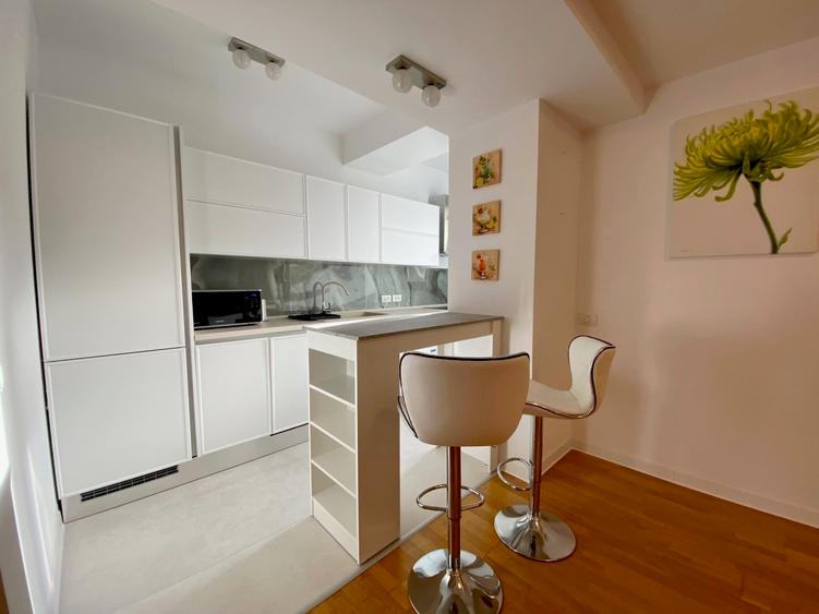 Apartament spatios parcul Herastrau// Fantana Miorita