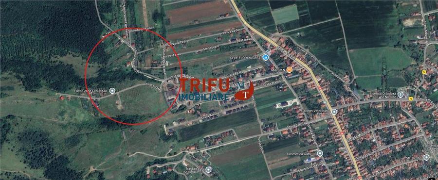 Teren intravilan 1020 mp de vanzare zona Alba Micesti spre padure cu utilitati