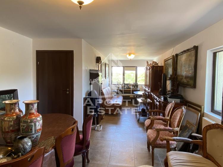 Casa individuala si spalatorie cu fise  Jebel la DN59/E70 - 18