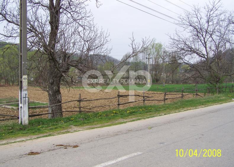 Teren intravilan 21.000 mp de vânzare – Suseni, Comuna Bogați, Județul Argeș - 9