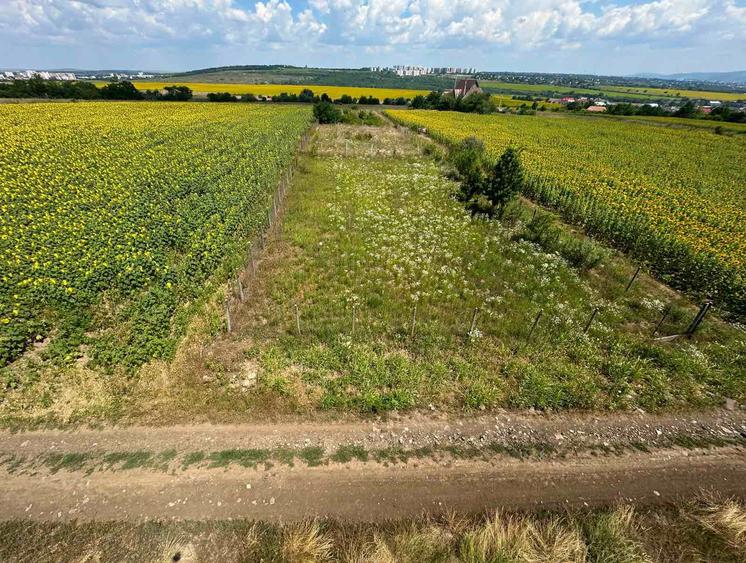 Teren intravilan Platoul Beldiman Rediu Iași – 787 mp Deschidere la 2 drumuri Construibil