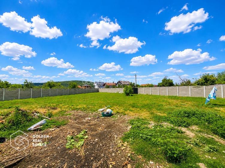 Casa stil brancovenesc, 2 corpuri, localitatea Ususau - 25