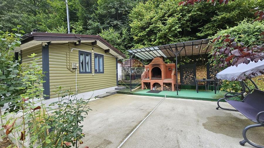 Căsuță de vacanță de vânzare – comuna Alexandru cel Bun, Neamț - 31