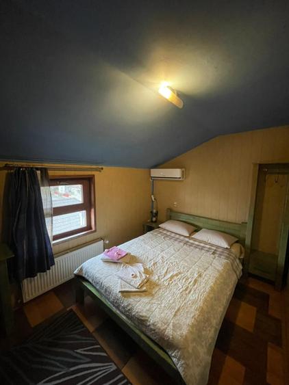 Pensiune P+1+M de vanzare, 396 mp, zona Orasul Vechi
