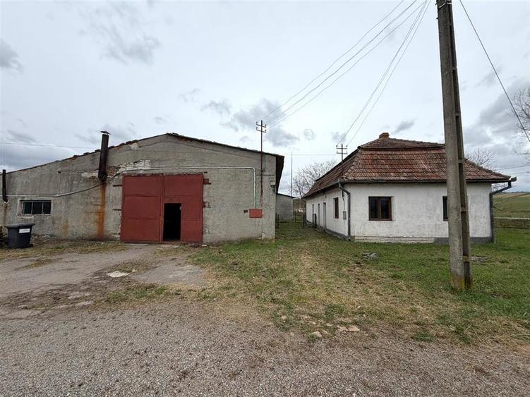 HALE INDUSTRIALE | CLADIRE BIROURI | TEREN 7000 MP | GHEGHIE BIHOR