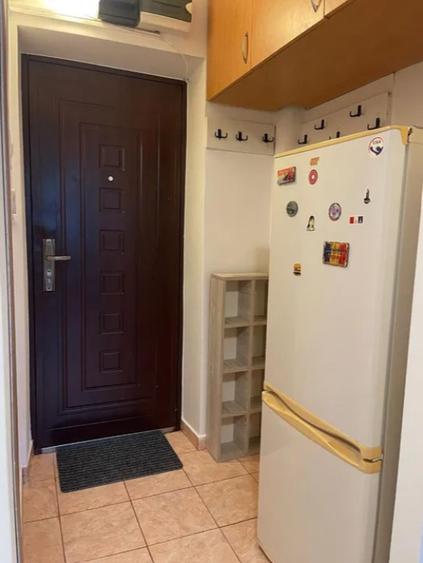 Apartament cu 1 camera in Alexandru cel Bun