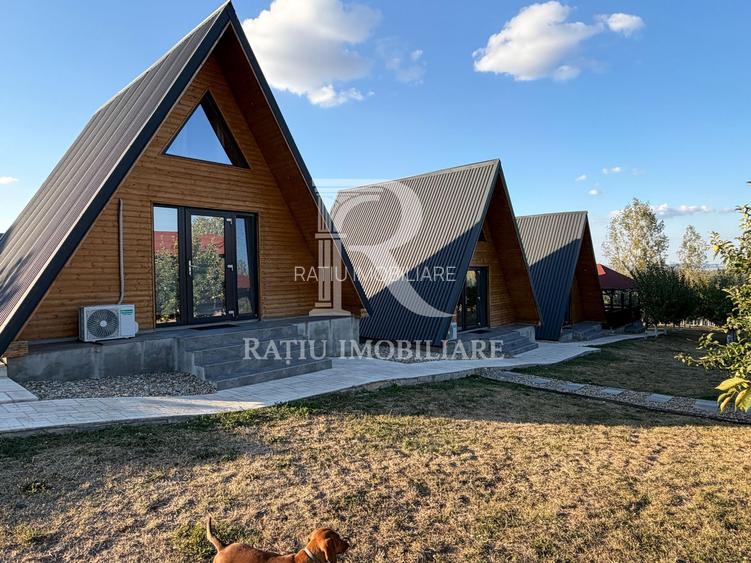 Proprietate premium | Casă și complex turistic la cheie | Cordău - 28