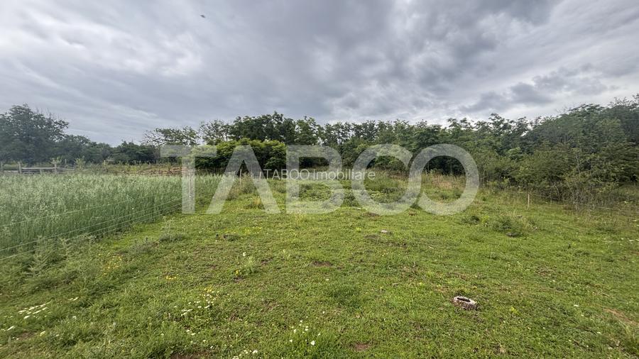 EXCLUSIVITATE COMISION 0 % Casa SASEASCA cu teren 1800 mpu Pauca - 15