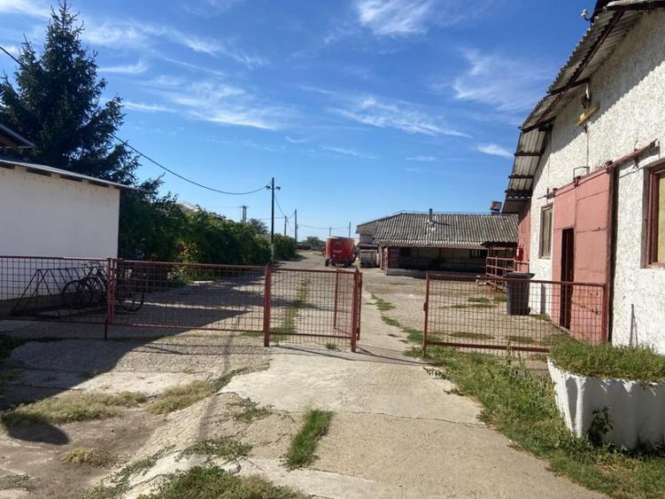 Vand ferma bovine situata in judetul Buzau