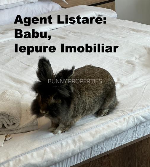 Cheapest Property in Dorobanți | Babu Recommends | AB029 - 13