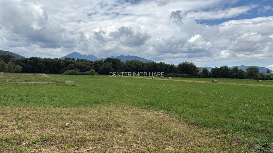 Terenuri intravilan 1500/2300 mp, Zonă în dezvoltare, cu locuințe în apropiere - 4