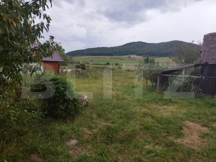 Casa pitoreasca în Viile Tecii cu o grădina de 26 de arii