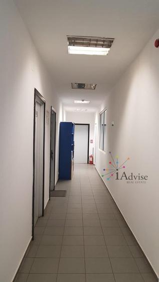 Spatiu productie Bartolomeu