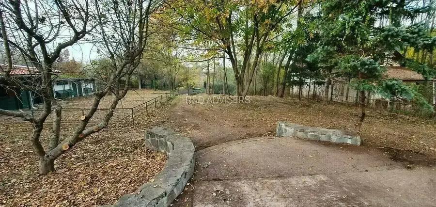 Vilă cu deschidere la Lacul Snagov  | Piscină - 8