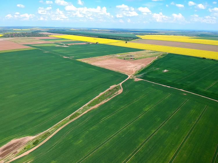 Teren intravilan PUZ zona Frumusani - aproape de Bucuresti si A0. Natura.Liniste