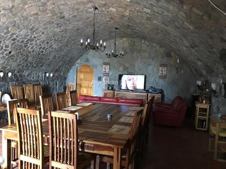 Vila deosebita cu 7 dormitoare, piscina încălzită, panouri fotovoltaice - 8
