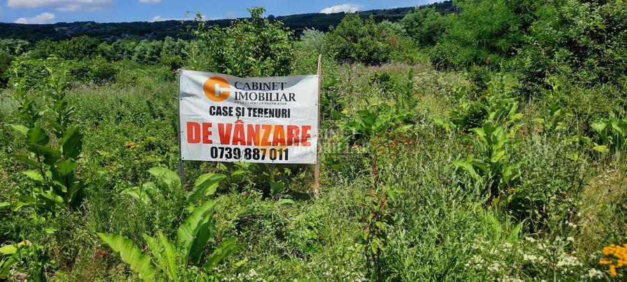 🌳 🌞🌿 TEREN INTRAVILAN 2800 mp - 30 Euro/mp - RATE LA NOTARIAT ! 🌳🌞🌿