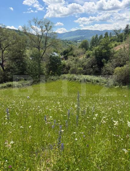 Teren extravilan 5049 mp, Vama, Bucovina