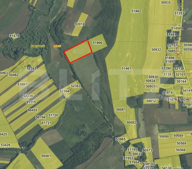 EXCLUSIVITATE - teren extravilan Mociu 17400 mp